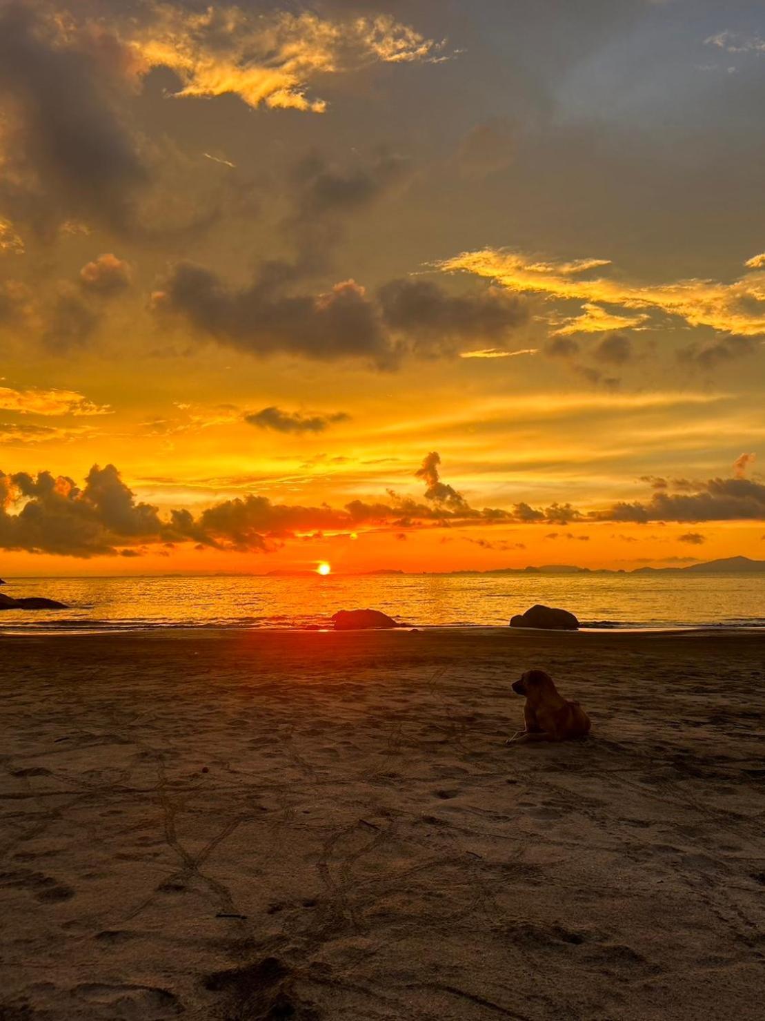 Lae Tawan Bungalow Koh Chang Ranong Exteriör bild